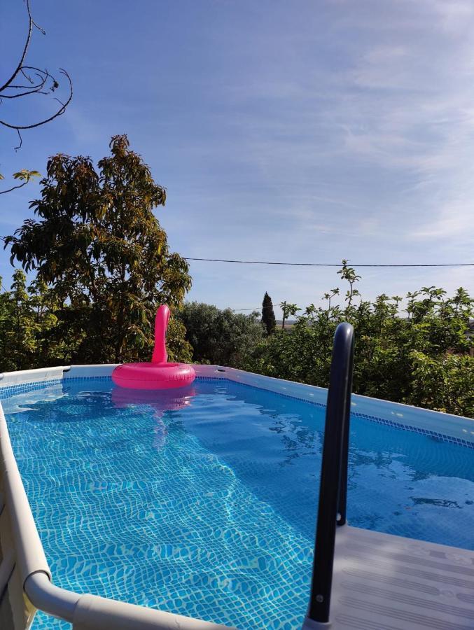 Casa Azul-Tiny House With Fantastic View, Big Outdoor Space And Pool Silves Εξωτερικό φωτογραφία